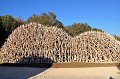 Buga_Koblenz   078